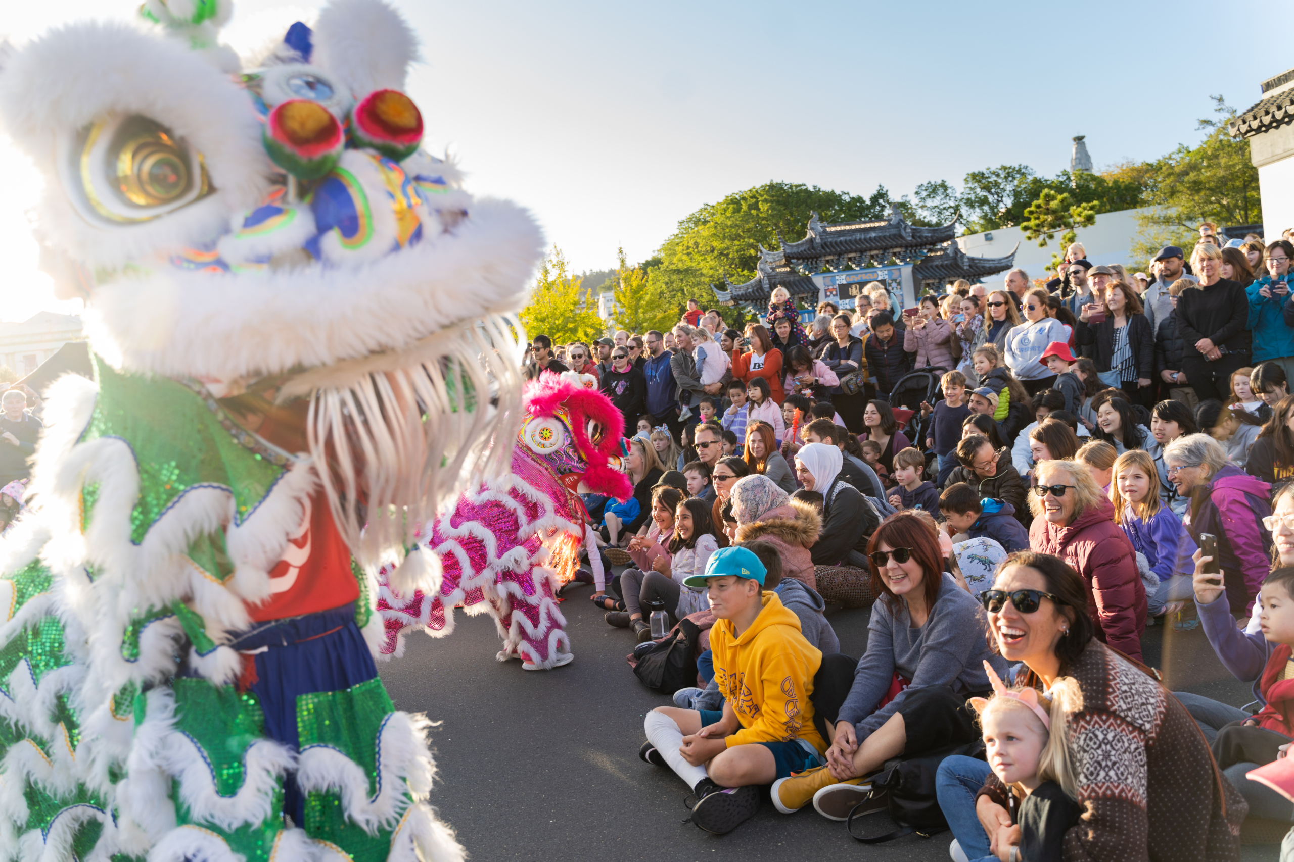 381054-events_chinesenewyear2021_011_dunedinnz